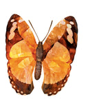 Butterfly Sconce - Decor - Tipplergoods