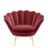 Chair Trapezium - Cameron wine red | brass finish legs - - Furniture - Tipplergoods