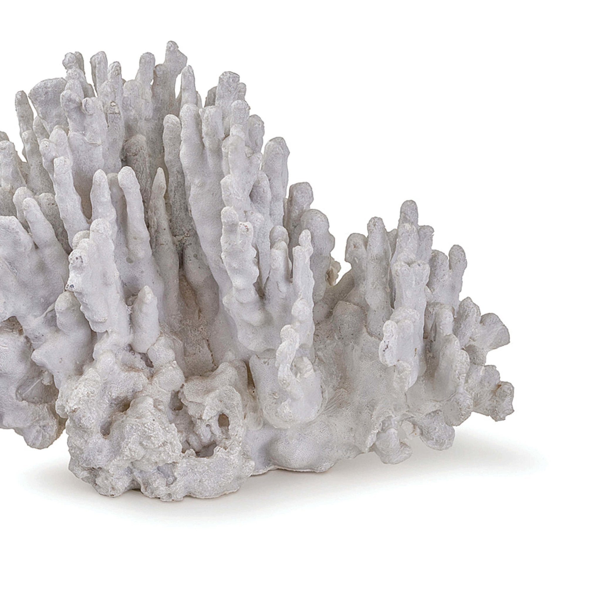 Coral Art Piece Large - White - - Decor - Tipplergoods