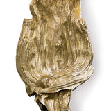 Driftwood Sconce - Antique Gold Leaf - - Decor - Tipplergoods