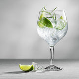 Gin and Tonic Glass 4PK - Barware - Tipplergoods